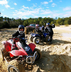 Meet your Posher, Joey